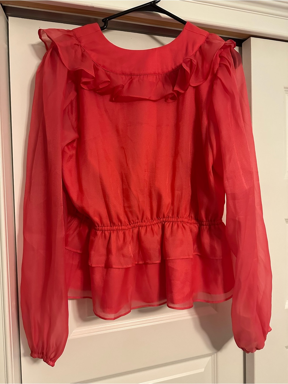 Anthropologie Hutch Pink Chiffon Sheer Ruffle Blouse Top Ballon Sleeve Sz L NEW - Picture 2 of 5